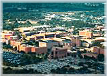 UNIVERSITY OF TEXAS AT ARLINGTON